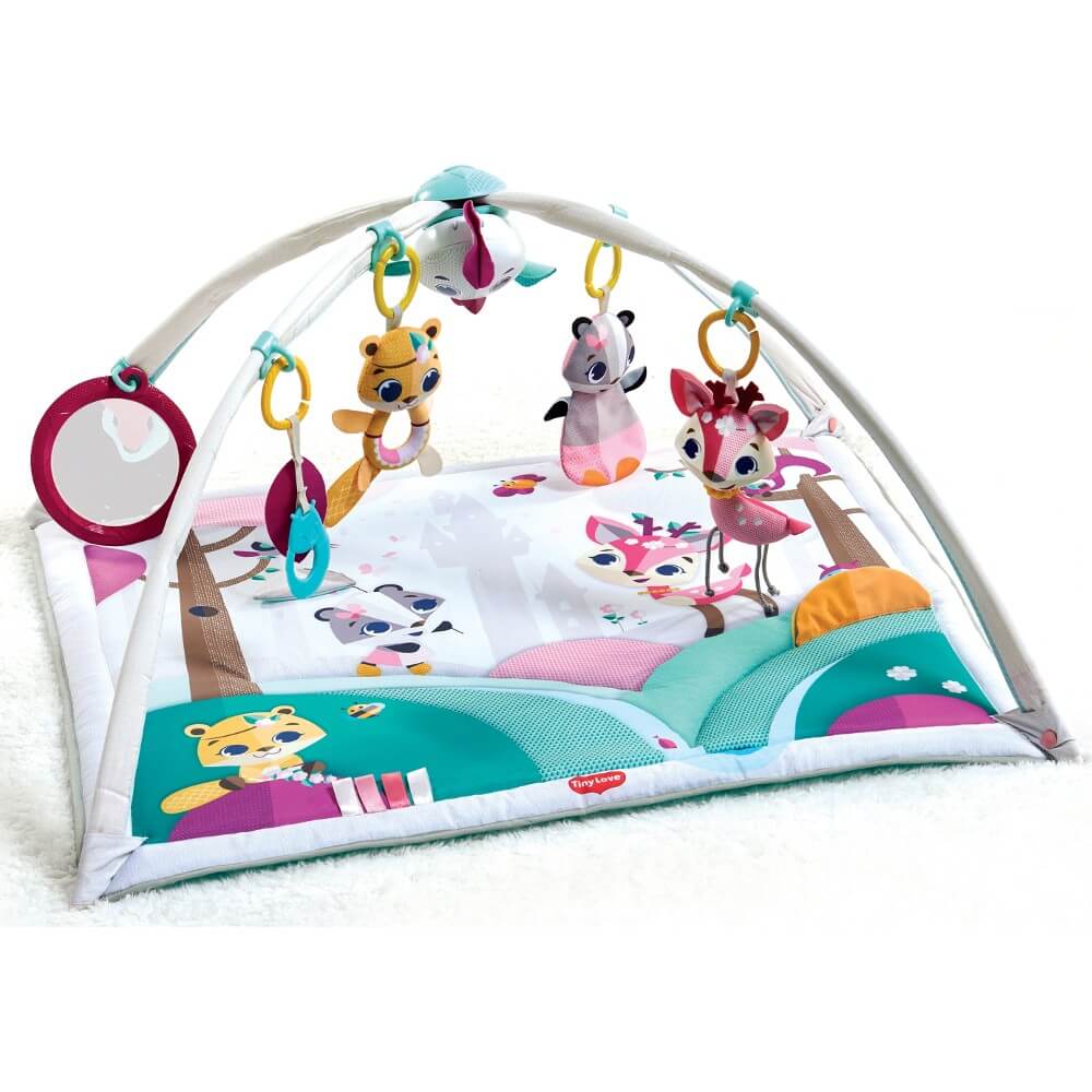 Tiny Love Gymini Deluxe Tiny Princess Tales